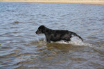 Ze durft steeds een stapje verder het water in.